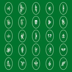 Master Airbrush Temporary Tattoo Stencils Booklet Set 1 With 100 Different Self-Adhesive Reusable Stencil Designs Airbrush Tattoo Stencils