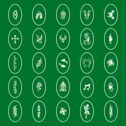 Master Airbrush Temporary Tattoo Stencils Booklet Set 1 With 100 Different Self-Adhesive Reusable Stencil Designs Airbrush Tattoo Stencils