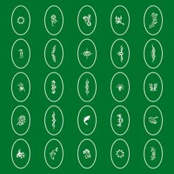 Master Airbrush Temporary Tattoo Stencils Booklet Set 1 With 100 Different Self-Adhesive Reusable Stencil Designs Airbrush Tattoo Stencils