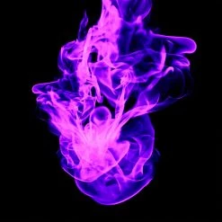 Custom Shop Stencils Complete Live Fire Set Includes 3 Sizes Of All 4 Flame Elements 16 Custom Shop Stencils Complete Live Fire Set Includes 3 Sizes Of All 4 Flame Elements