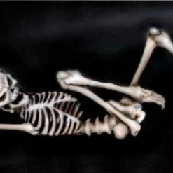 Custom Shop Aluminum Sign Blanks Blank Aluminum License Plate Tag Paint Panels, White (10/Pack)